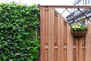 Keruing hardhouten tuinscherm