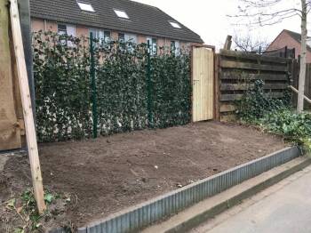 Door Detecteerbaar echtgenoot Hedera Helix Woerner | Vandentop Tuinhout