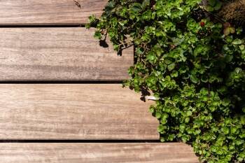 Padoek houten vlonderplanken vlonderpad