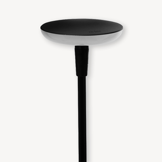 In-Lite Sway Black