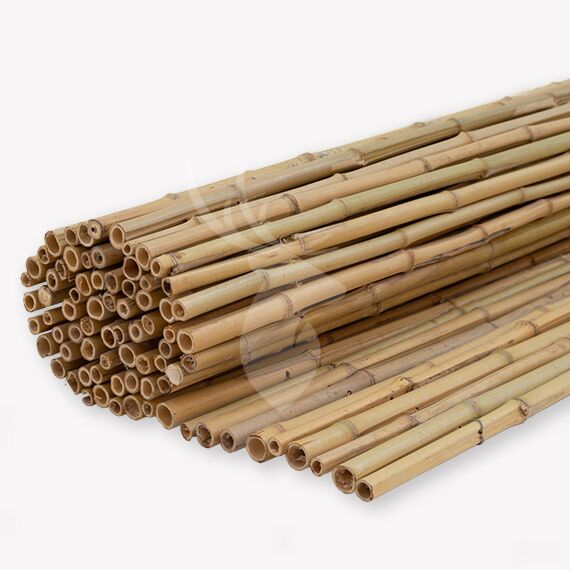 Buik labyrint Geruïneerd Bamboe schutting 180x180 cm | Vandentop Tuinhout