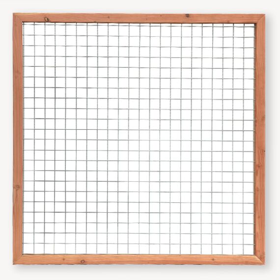 Gaaspaneel met rand | douglashout | blank