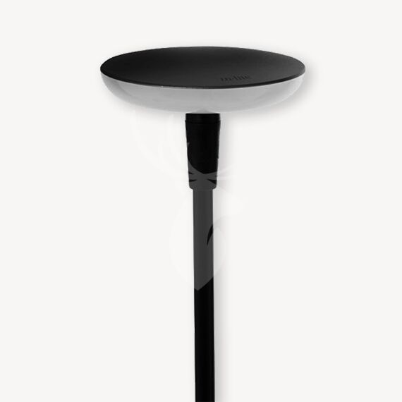 In-Lite Sway Black