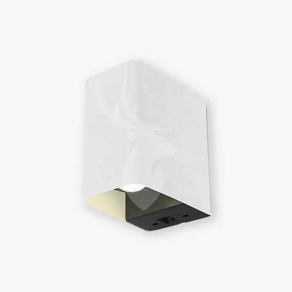 In-Lite ACE DOWN WHITE