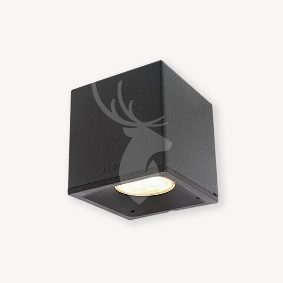 In-Lite BIG CUBID DARK