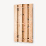 Tuindeur Solide | zwart frame | zonder slot