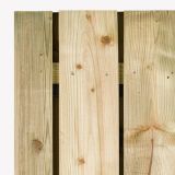 Tuindeur Privacy | grenen | 195x110 cm