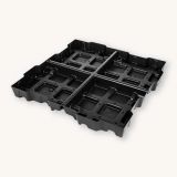 Sedum cassette