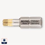 Torx bit
