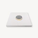 In-Lite PUCK