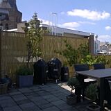 Bamboe schutting 180x180 cm