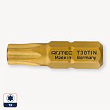 Torx bit