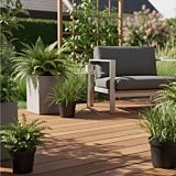 Bankirai vlonderplank | 2,5x14,5 cm