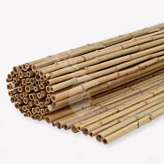 Bamboe schutting 180x180 cm