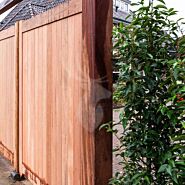 Dichte poort | Dubbele deuren | 125 cm | 125 cm