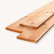 Douglas plank | geschaafd | blank | 1,9x19,5 cm