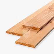 Douglas plank | geschaafd | blank | 1,6x14 cm