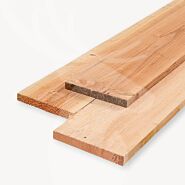 Douglas plank | ruw | blank | 2x20 cm