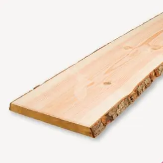 Douglas schaaldeel | gedroogd | blank