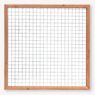 Gaaspaneel met rand | douglashout | blank