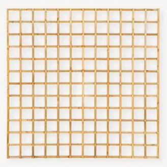 Trellisscherm grenen Robuust