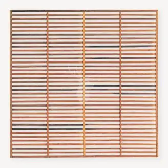 Trellisscherm hardhout Modern