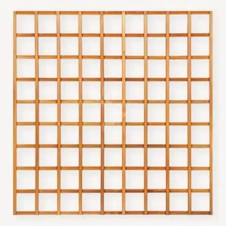 Trellisscherm hardhout Robuust