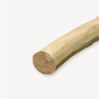 FSC Robinia paal | spintvrij geschuurd | 10-12 cm