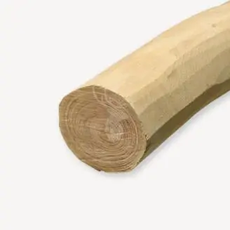 FSC Robinia paal | spintvrij geschuurd | 20-25 cm