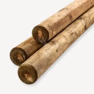 Ronde paal | groen geïmp. | 8 cm | gepunt & gekruind