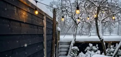 Wat kun je in de winter doen in je tuin?