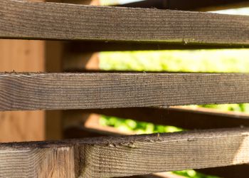 Wat is fijnbezaagd hout?
