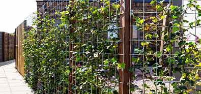 Betongaas schutting: een duurzame basis voor een groene tuinafscheiding