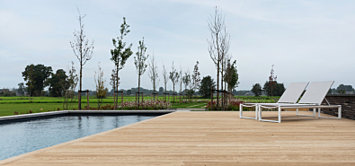 Eiken vs. composiet vlonderplanken: wat past bij jouw tuin?