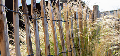 Schapenhekken van kastanjehout: alles wat je moet weten