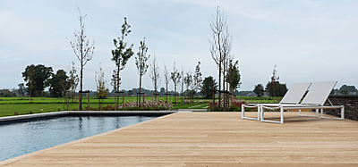 Eiken&#x20;vs.&#x20;composiet&#x20;vlonderplanken&#x3A;&#x20;wat&#x20;past&#x20;bij&#x20;jouw&#x20;tuin&#x3F;