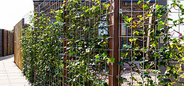 Betongaas schutting: een duurzame basis voor een groene tuinafscheiding