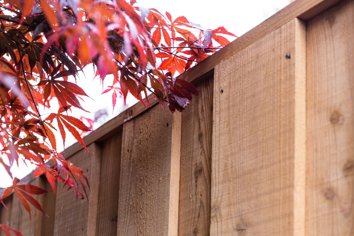 Fijnbezaagde douglas schuttingplanken.