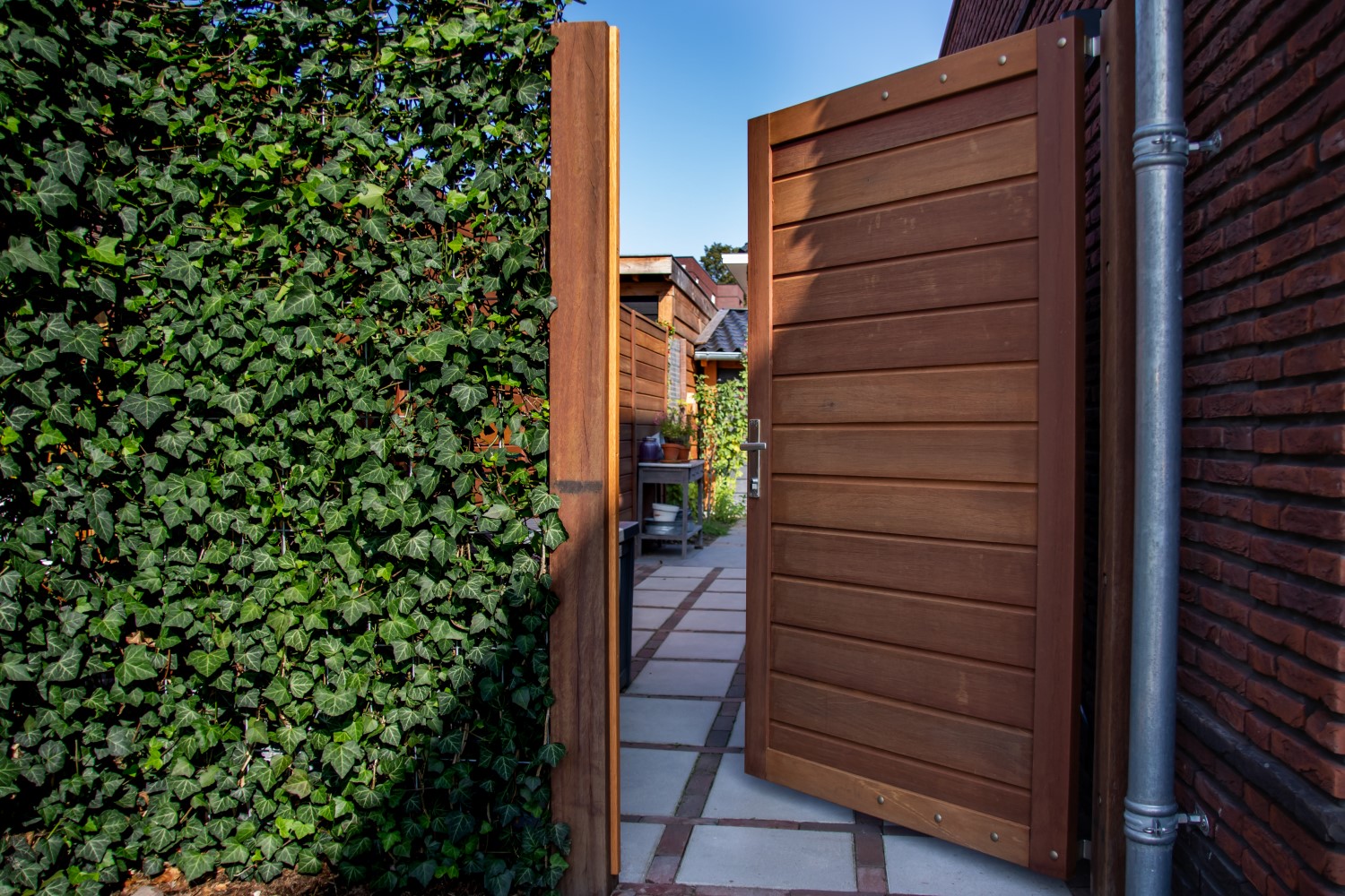 Klimop hedera schutting.