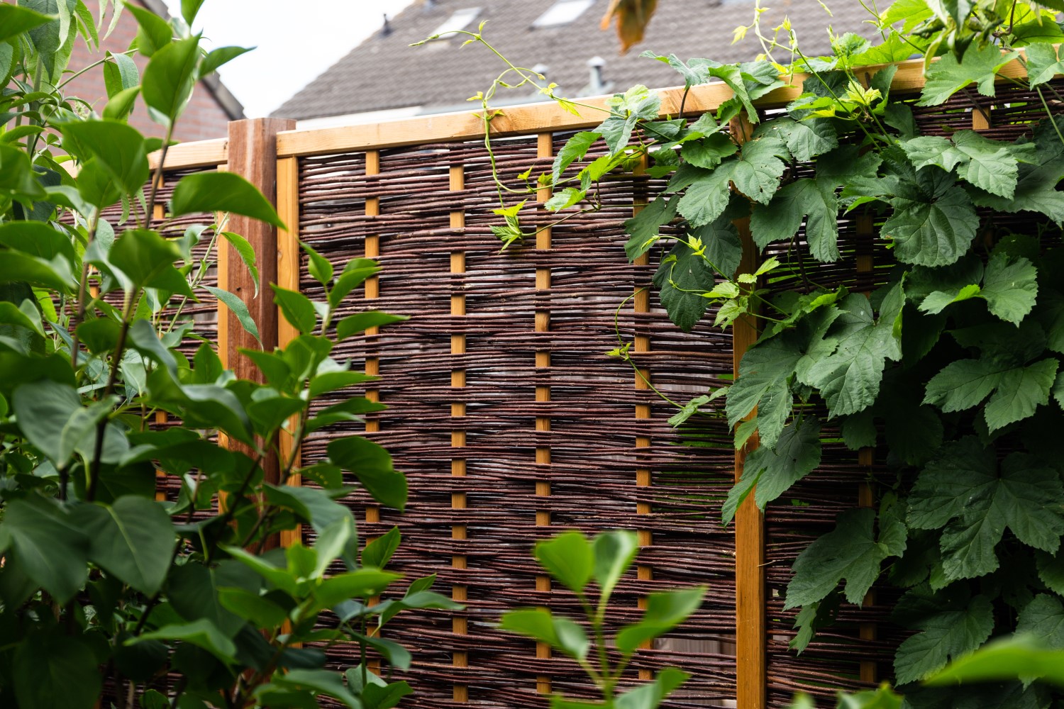 Tuinscherm van wilgentenen.