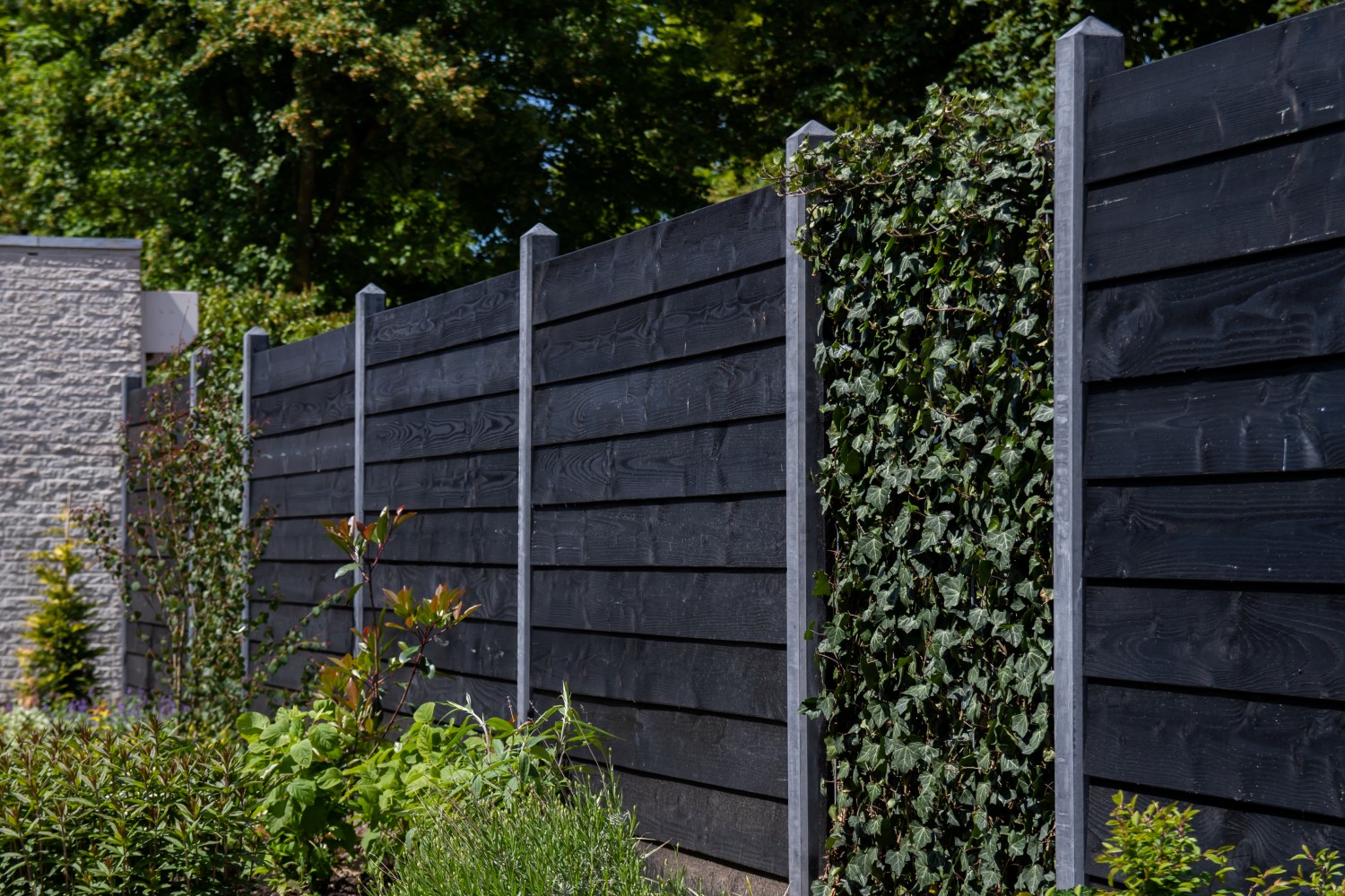 Zwarte schutting van Zweeds rabat tuinschermen afgewisseld met hedera.
