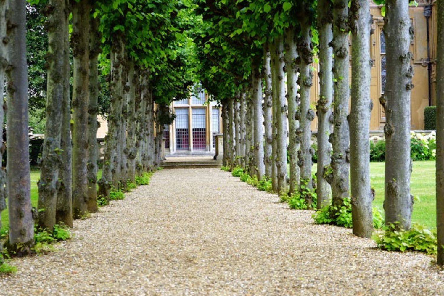 Klassieke tuin met laan en bomen