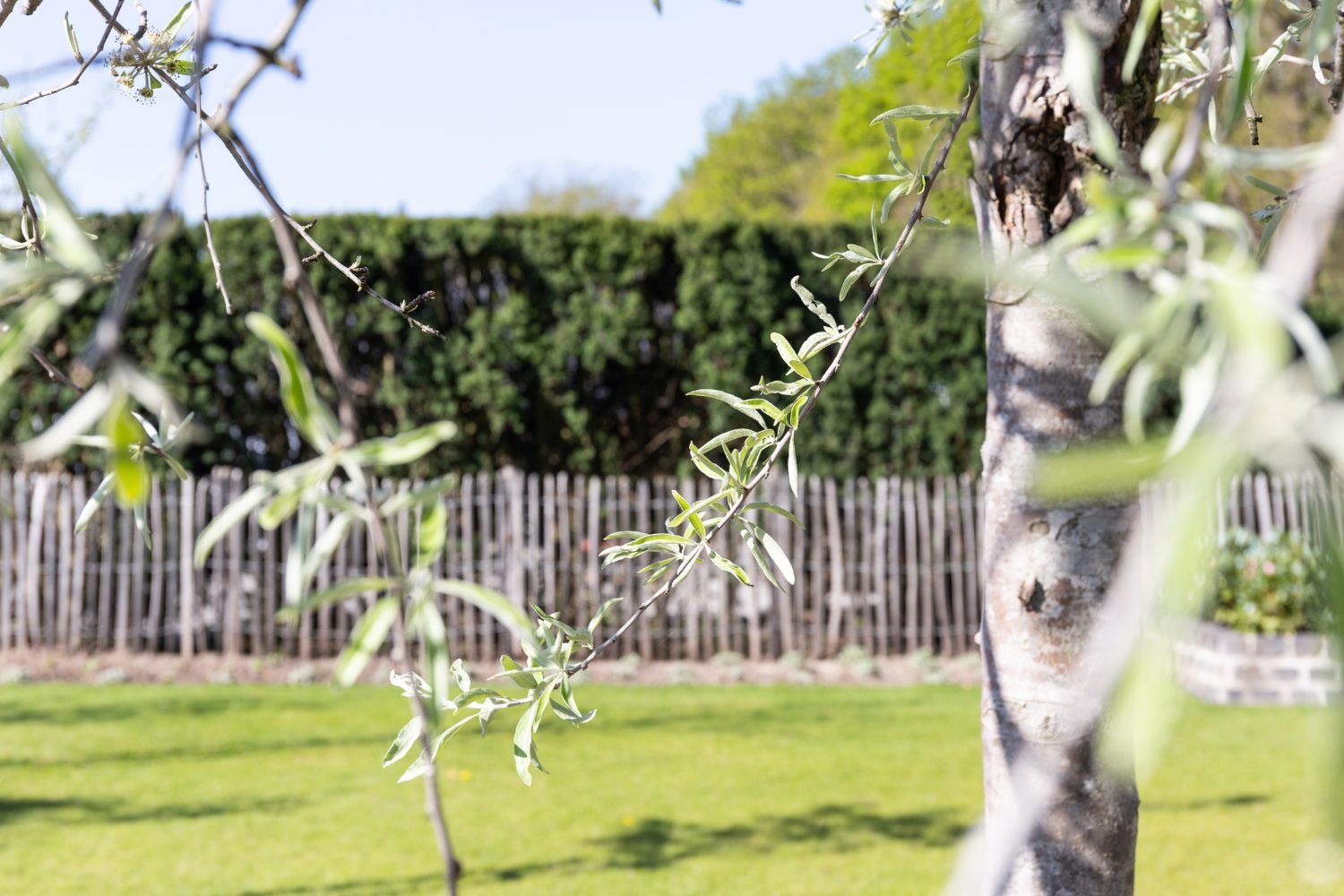 Landelijke tuinstijl kastanje schapenhek
