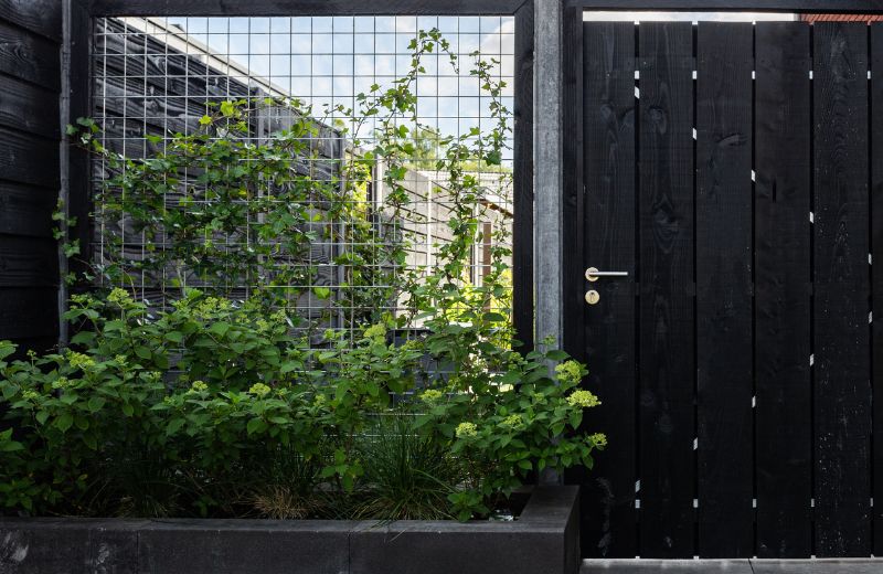 Gratis slot bij aankoop van een grenenhout tuindeur Privacy