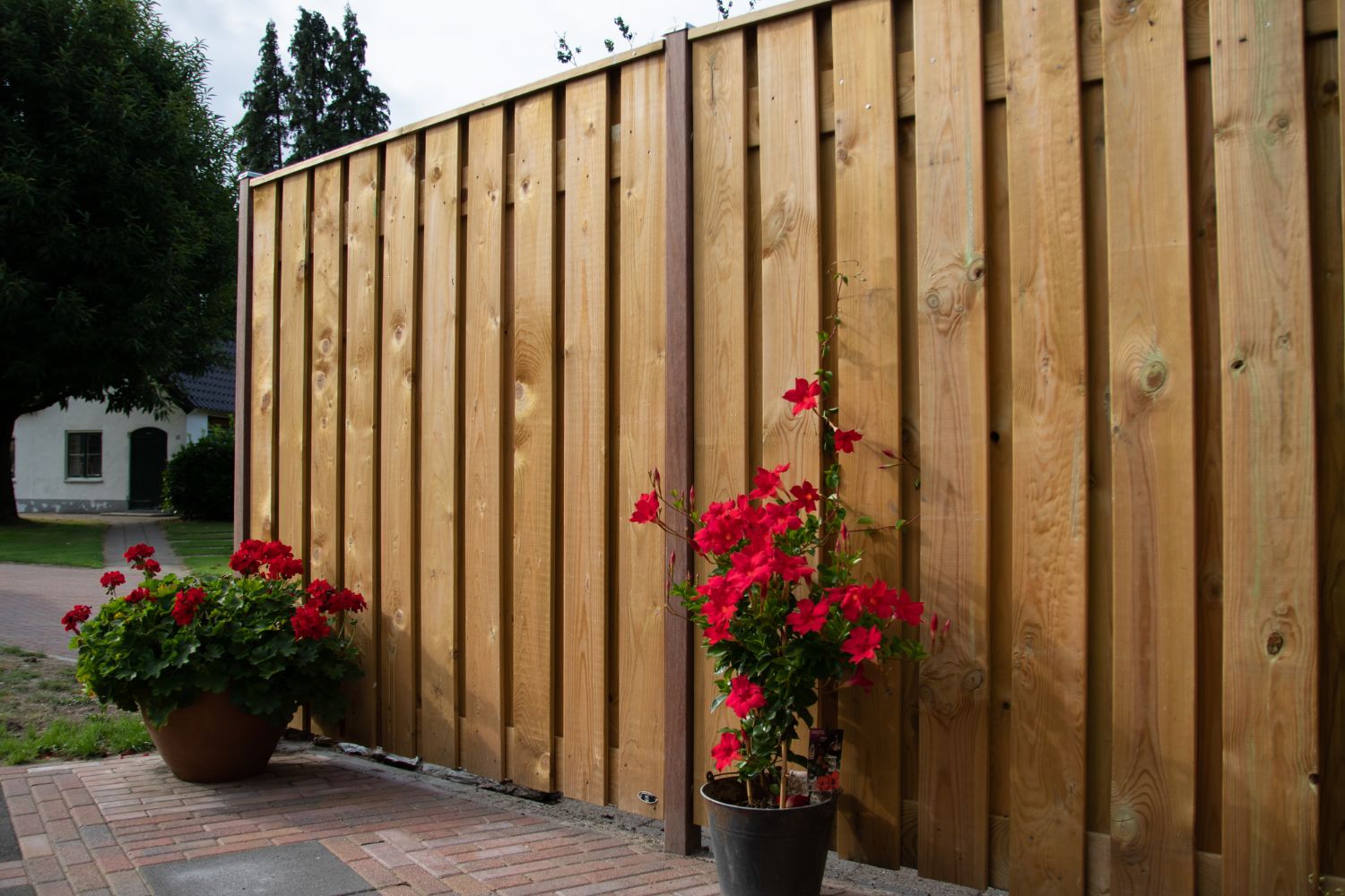 Tuinscherm schutting vurenhout